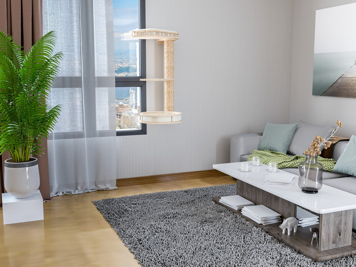 Modern living room with a gray rug, white walls, and cat wall furniture