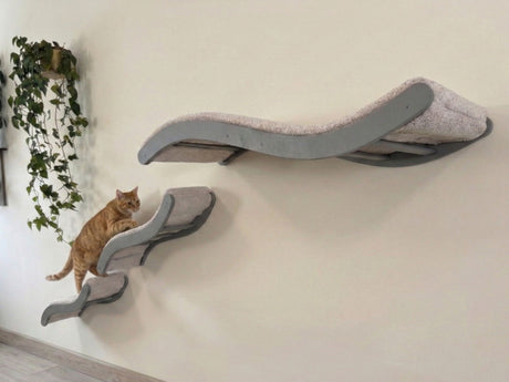 Cat climbing on a gray wall-mounted cat shelf with a plant beside it.