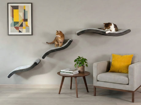 Dark color curved cat bed with grey cushion & steps