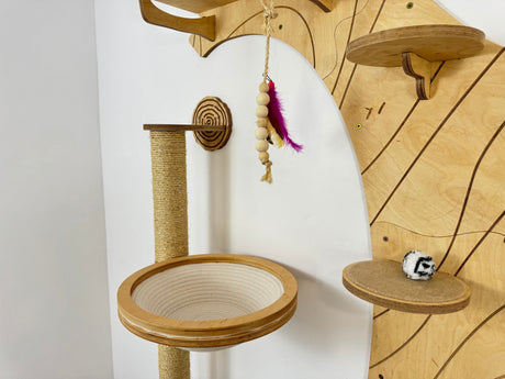 wall shelves for cats