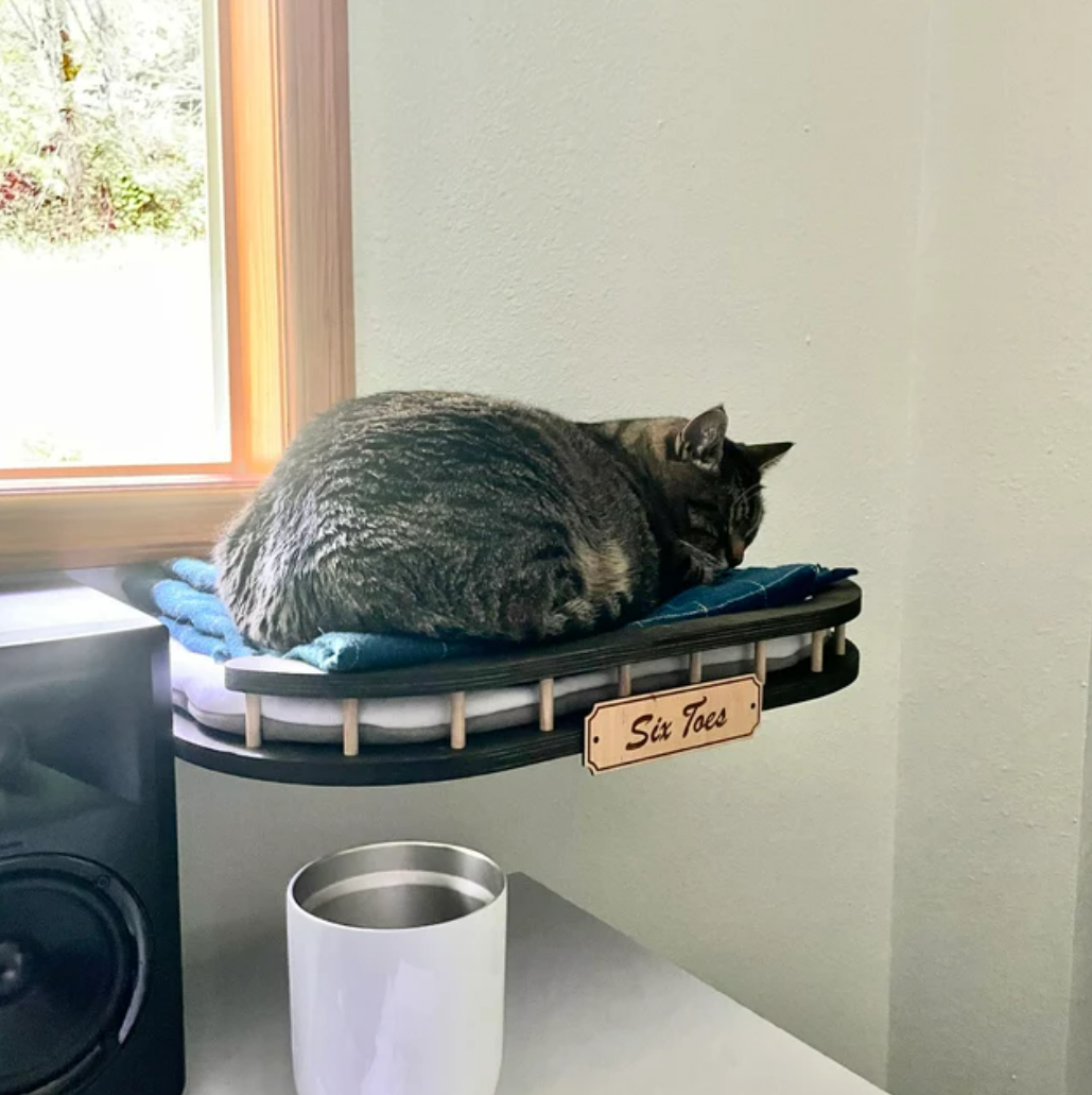 The cat sleeps on a wall shelf by the window