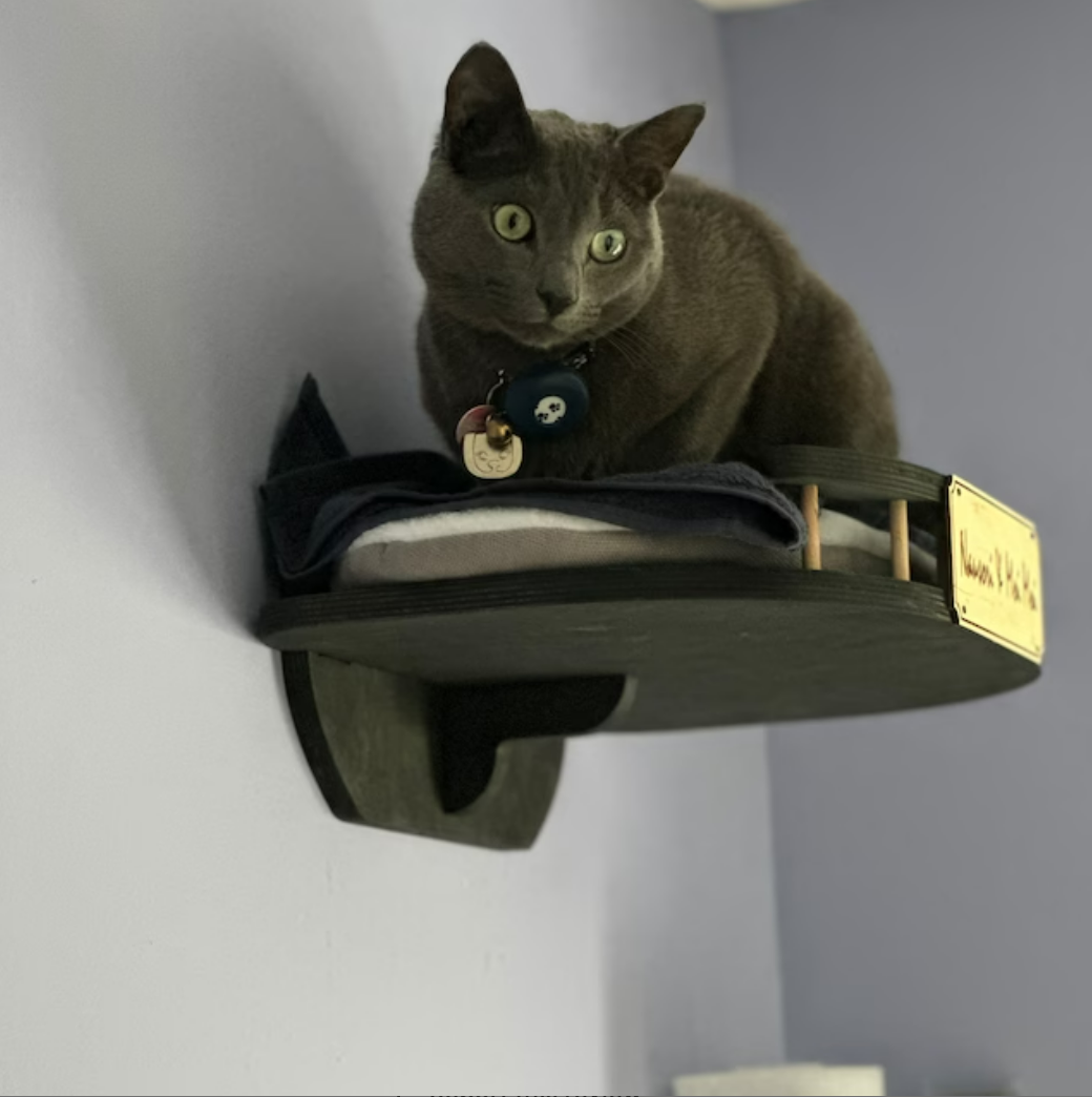 Cat wall shelf bed with pillow