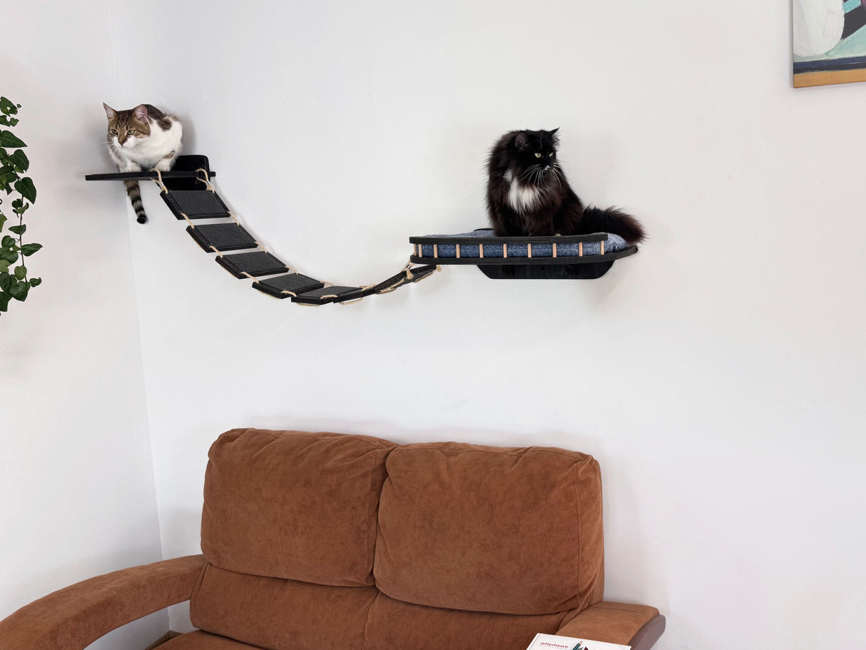 cat bridge