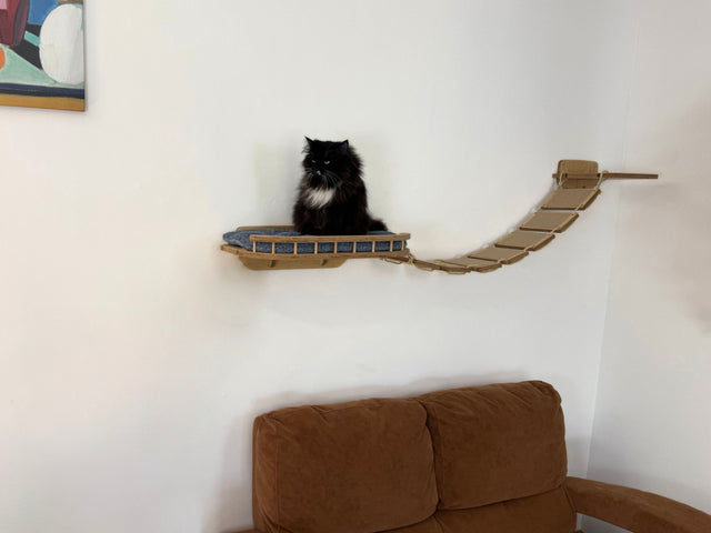 cat bridges in house