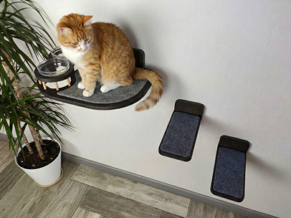 cat furniture for walls