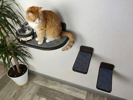 cat furniture for walls