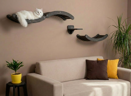 Cat on a wall-mounted cat shelf with a beige sofa and decorative pillows in the foreground.