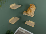 Set of 4 Corner Cat Wall Shelves with Carpet. Natural color of shelves