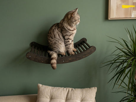 Cat wave wall shelf, dark colored