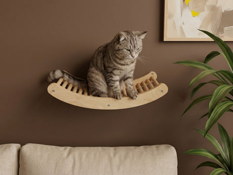 Natural floating cat wall perch
