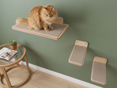 Cat wall perch and two flat wall mounted steps - rshpets