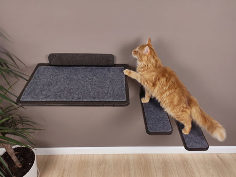 Set of cat wall shelves - dark color
