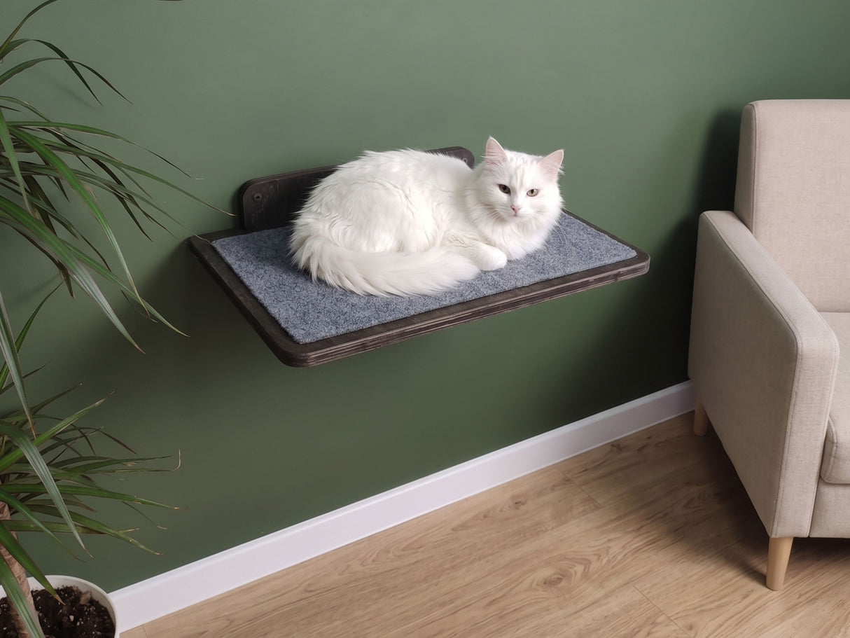 Wandregale für Katzen mit Teppich