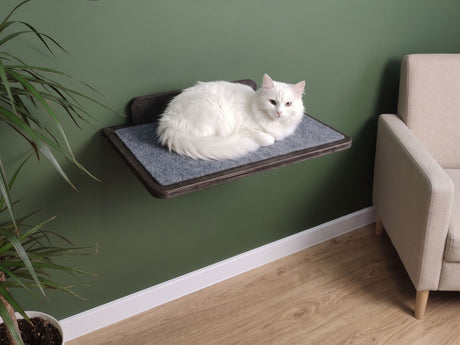 Cat Wall Mounted Shelves with Carpet