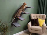 Dark wall cat ladder with 4 steps