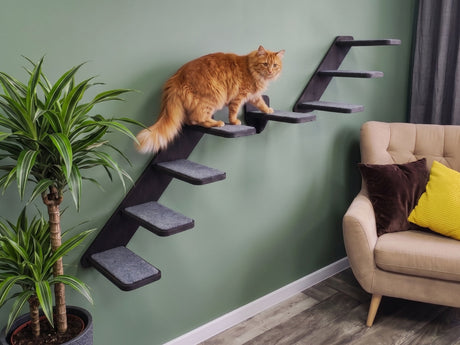 A set of wall-mounted cat ladders with dark wood and gray carpet.