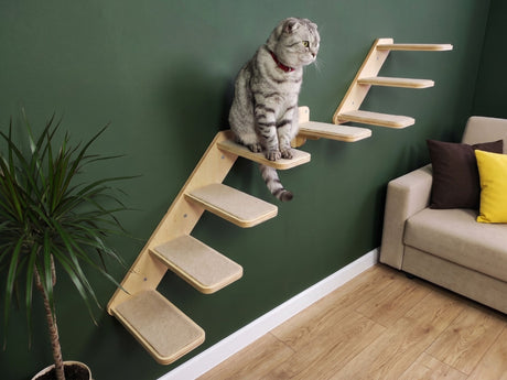 Cat sitting on a wooden cat tree against a green wall with a couch and plant in the background.