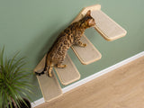 Cat climbing a set of beige cat shelves against a green wall.
