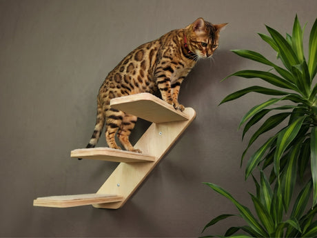 Cat wall ladder with 3 steps, natural wood color