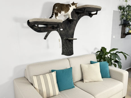 Cat climbing wall attached to a white wall above a beige sofa with blue and patterned cushions.