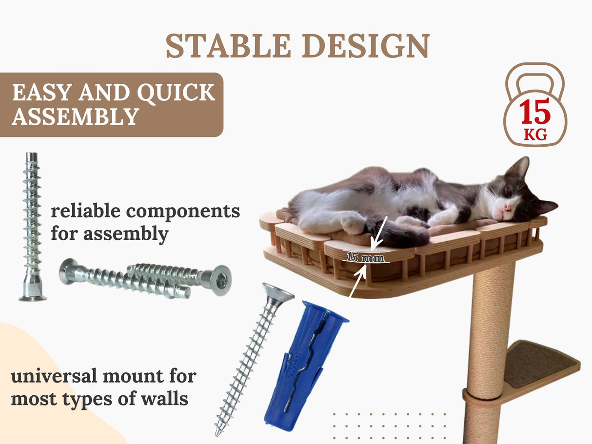 cat shelves wall