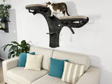 Cat climbing wall attached to a white wall above a beige sofa with blue and patterned cushions.