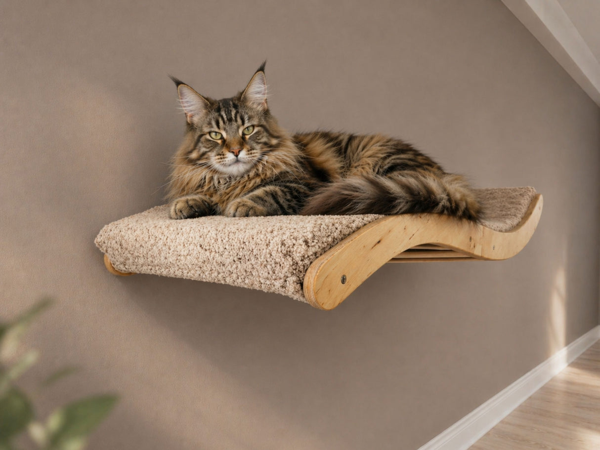 Large curved wall perch, natural color of wod and beige pillow