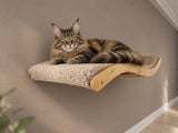 Large curved wall perch, natural color of wod and beige pillow