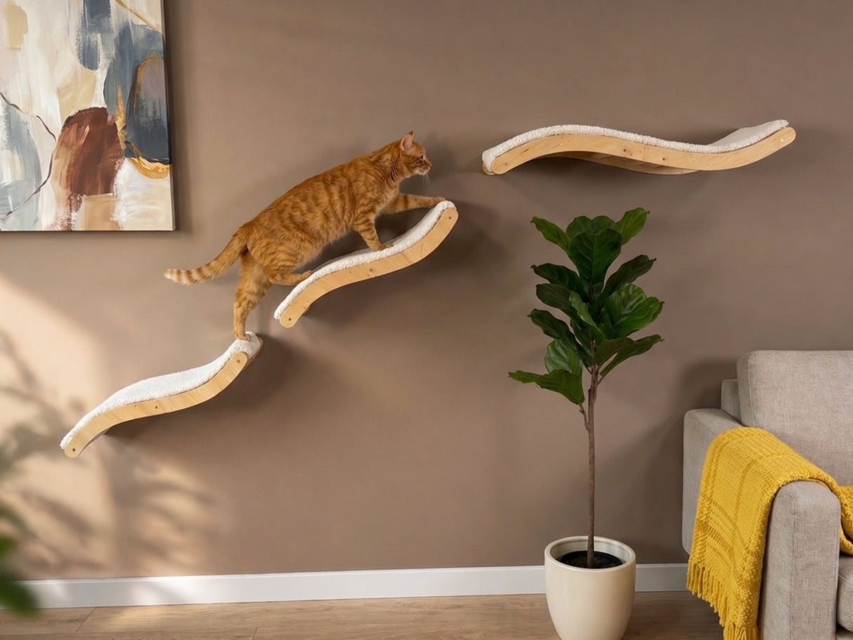 Cat climbing on a wall-mounted cat shelf in a living room setting.