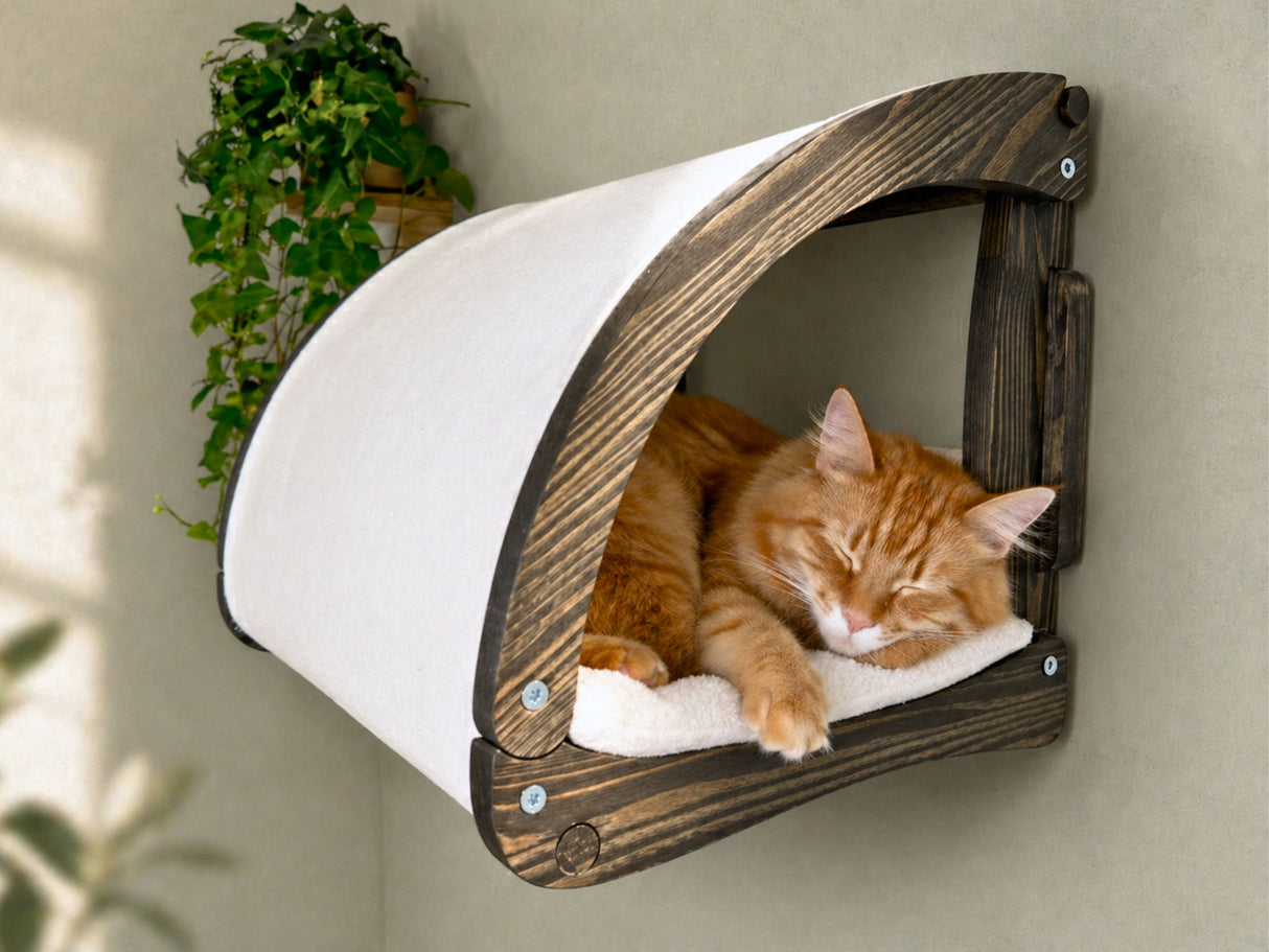 Cat resting in a wooden and white cushioned pet bed attached to a wall.