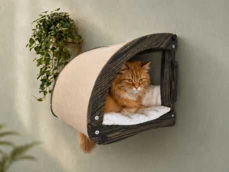 Wall-mounted cat hideout made of dark wood and beige fabric featuring a cat looking out.