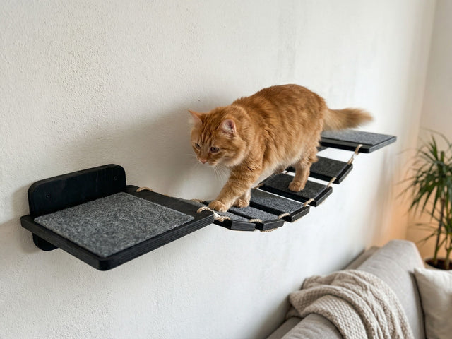 Cat walking on a black cat shelf attached to a white wall.