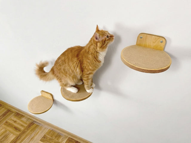 cat wall furniture