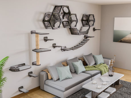 Living room with gray sofa, hexagonal cat wall shelves, and a coffee table.