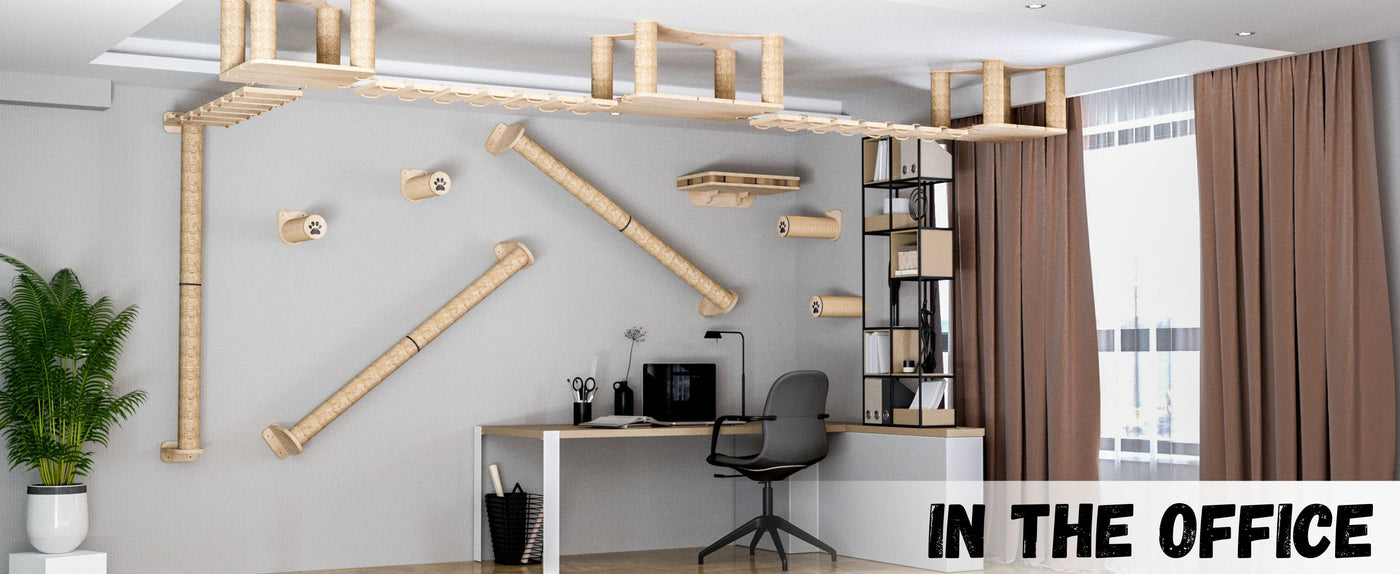 Modern office interior with a desk, chair, and wall-mounted shelves.
