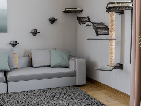 Living room with a gray sofa, cat tree, and shelves on a white wall.
