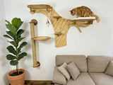 Cat climbing shelf on a wall above a sofa with a plant beside it