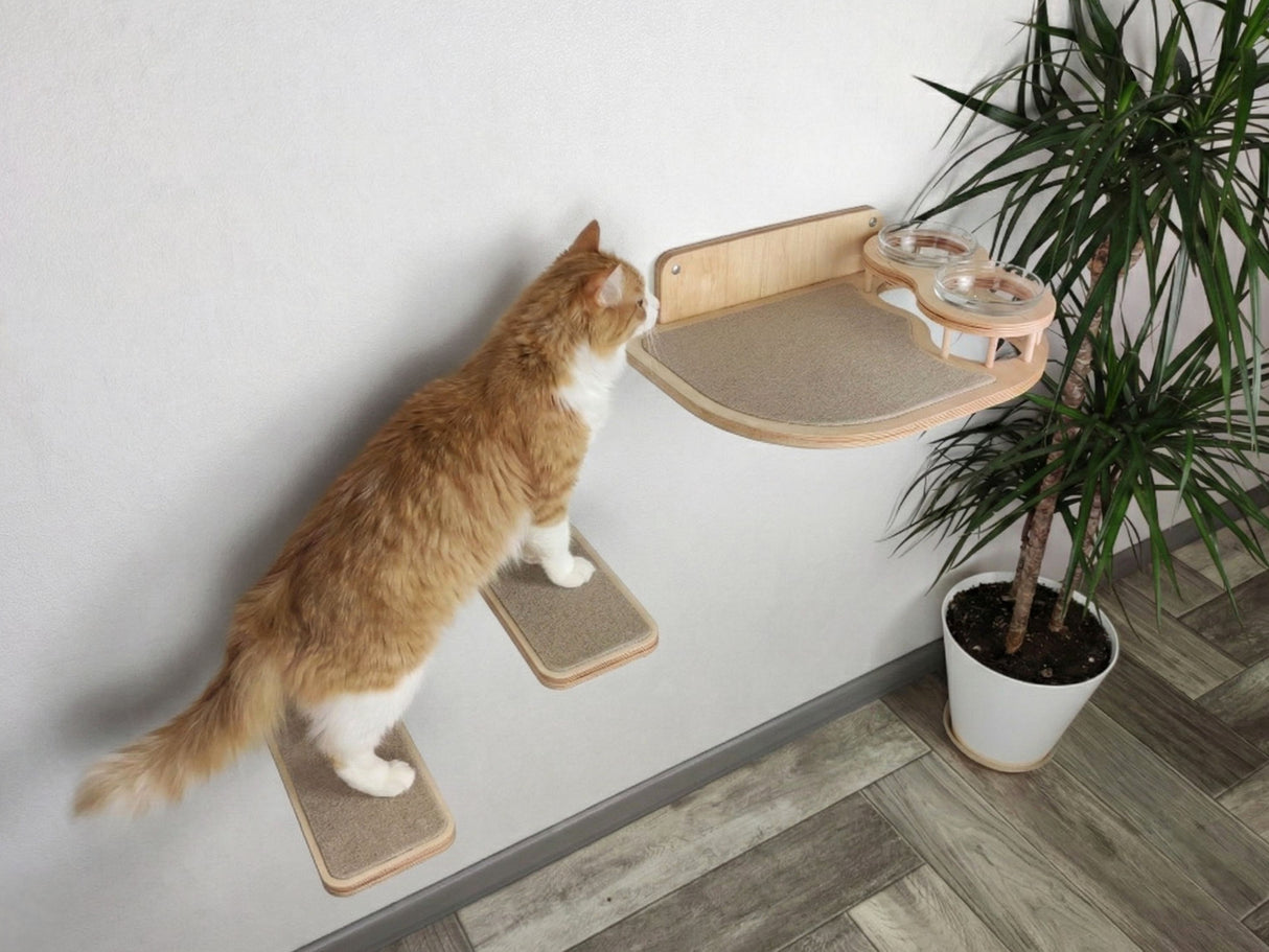 cat feeder shelf