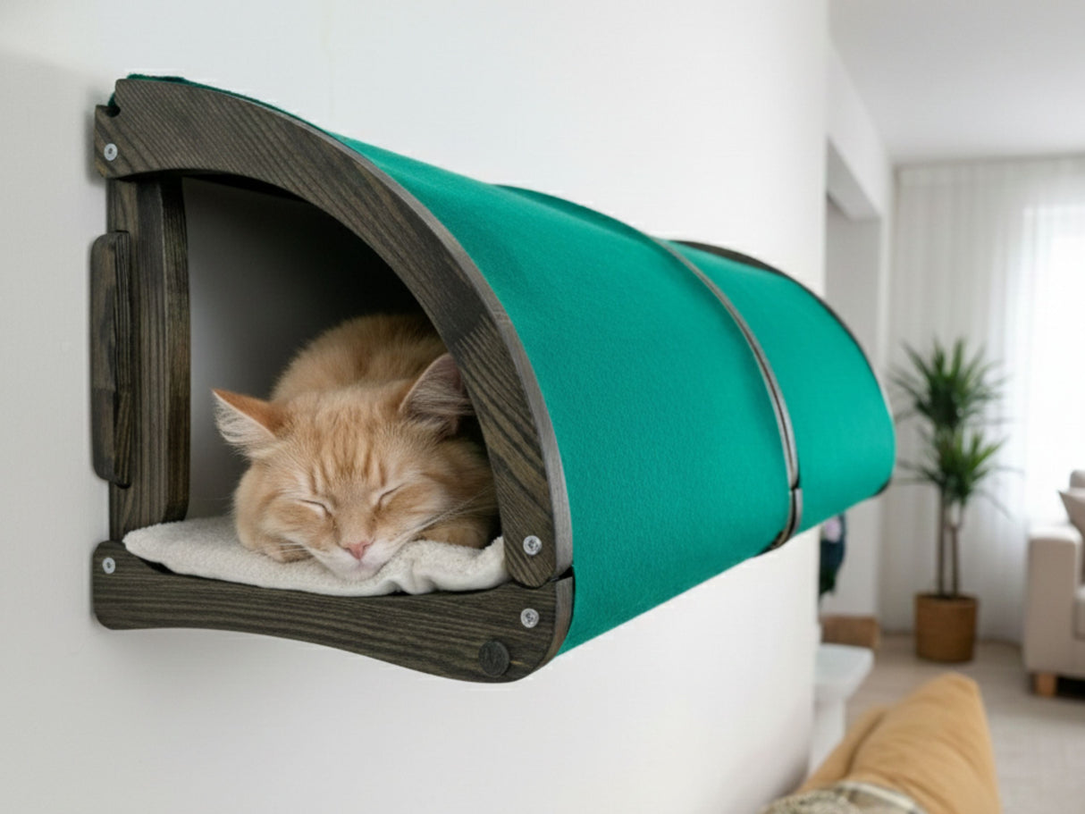 Cat sleeping in a teal and brown pet bed against a white wall.
