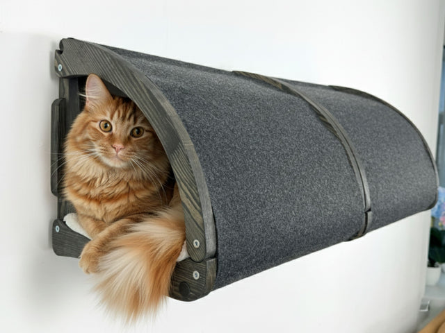 Cat peeking out from a gray pet bed attached to a white wall