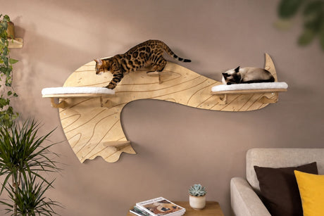 Wooden cat shelf with two cats on a wall in a living room setting.