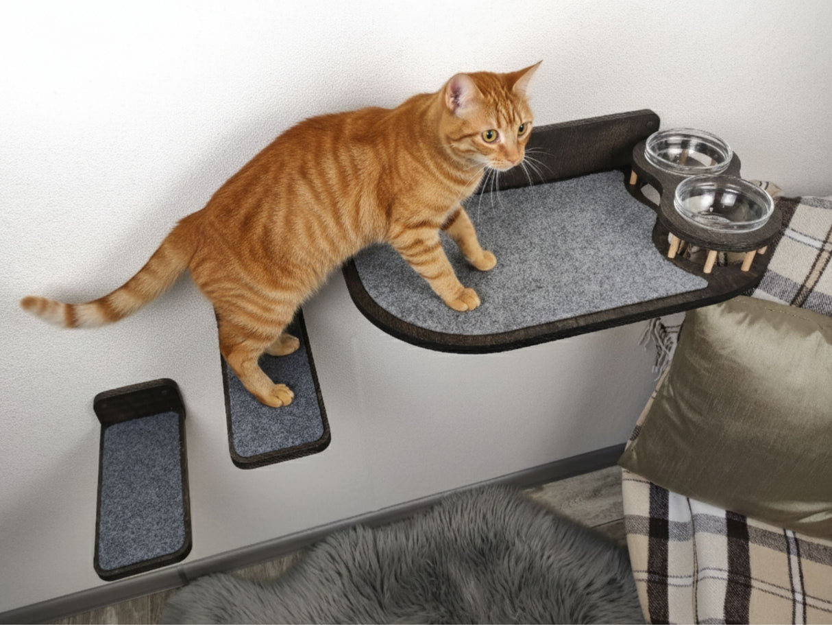 Cat standing on a elevated pet platform with a bowl and cushion in a room.