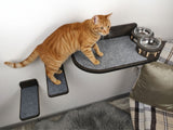 Cat standing on a elevated pet platform with a bowl and cushion in a room.