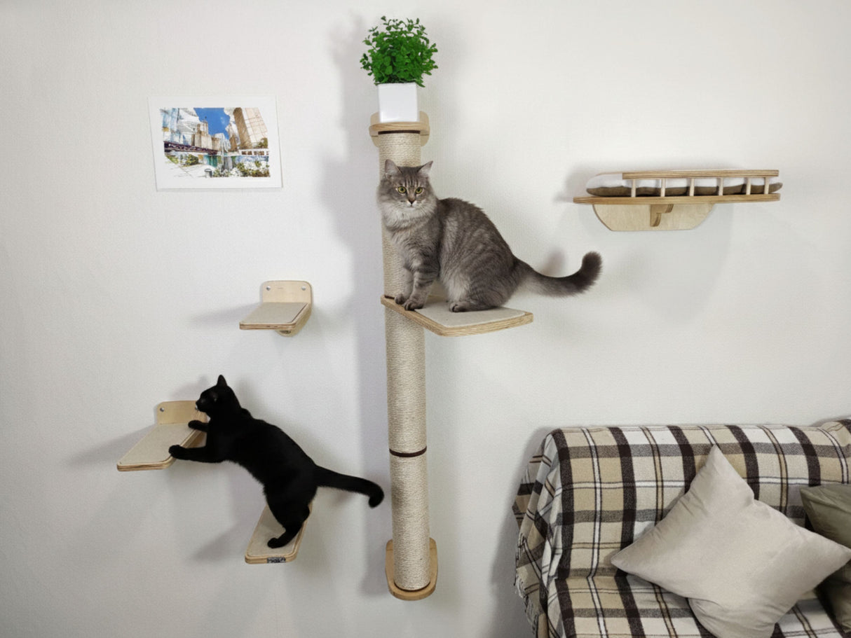 Two cats on a cat tree with shelves against a white wall.