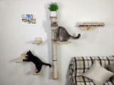 Two cats on a cat tree with shelves against a white wall.