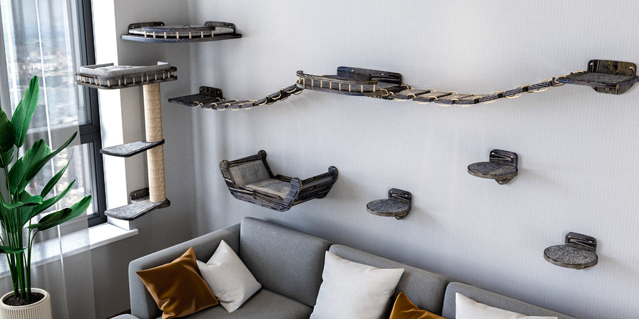 Cat climbing shelves attached to a wall above a gray sofa with cushions.