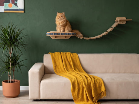 Cat on a wall-mounted cat shelf with a beige sofa and yellow blanket in a room.