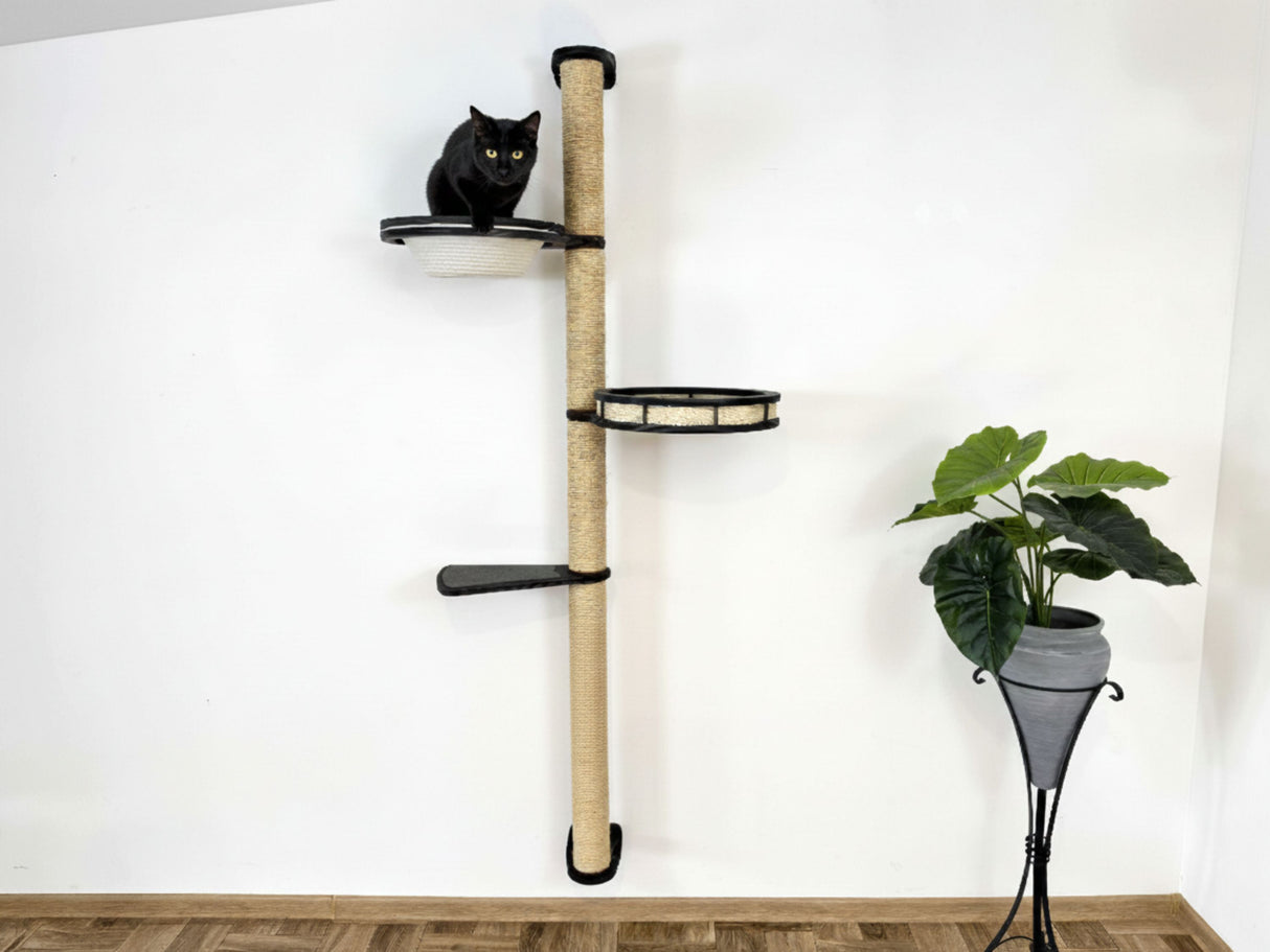 Cat climbing pole with shelves on a white wall, next to a plant.