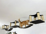 Cat walking on a cat ceiling shelves with multiple platforms and scratching posts.