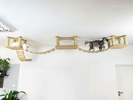 Cat climbing on a wooden cat tree attached to a white wall.